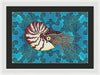 Nautilus Adrift