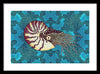 Nautilus Adrift