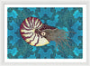 Nautilus Adrift