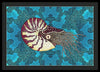 Nautilus Adrift