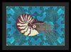 Nautilus Adrift