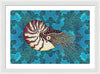 Nautilus Adrift