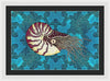 Nautilus Adrift