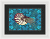 Nautilus Adrift