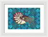 Nautilus Adrift