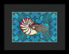 Nautilus Adrift