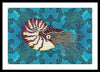 Nautilus Adrift
