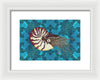 Nautilus Adrift