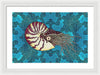 Nautilus Adrift
