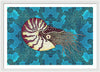 Nautilus Adrift