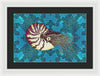 Nautilus Adrift