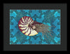Nautilus Adrift