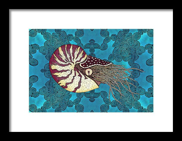 Nautilus Adrift
