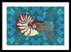 Nautilus Adrift