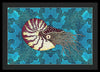 Nautilus Adrift