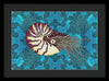 Nautilus Adrift