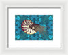 Nautilus Adrift
