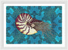 Nautilus Adrift