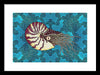 Nautilus Adrift