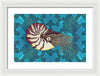 Nautilus Adrift