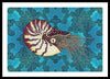 Nautilus Adrift