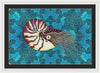 Nautilus Adrift