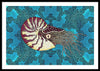 Nautilus Adrift