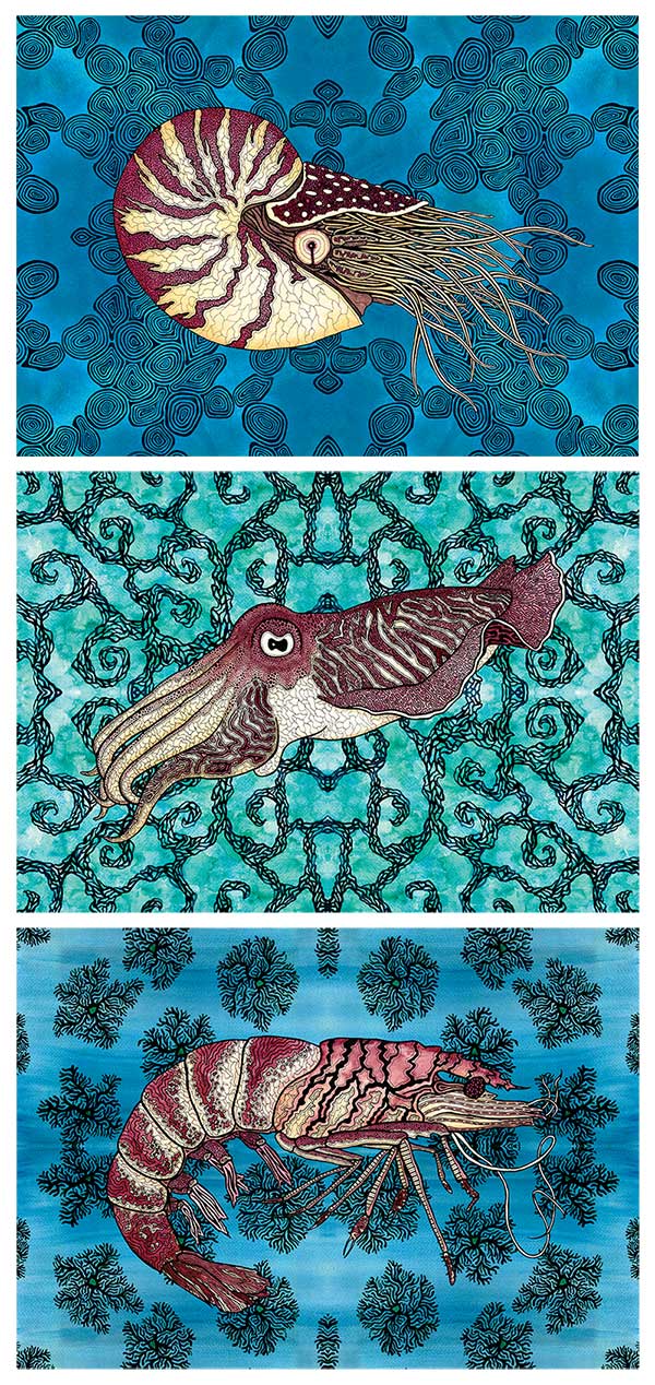 Sea Creatures Adrift