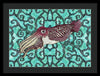 Cuttlefish Adrift