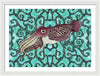 Cuttlefish Adrift
