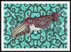 Cuttlefish Adrift