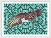 Cuttlefish Adrift