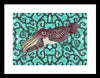Cuttlefish Adrift