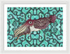 Cuttlefish Adrift