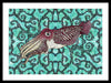 Cuttlefish Adrift
