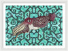 Cuttlefish Adrift
