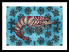 Tiger Shrimp Adrift