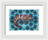 Tiger Shrimp Adrift
