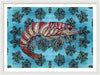 Tiger Shrimp Adrift