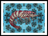 Tiger Shrimp Adrift