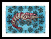 Tiger Shrimp Adrift