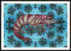 Tiger Shrimp Adrift