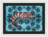 Tiger Shrimp Adrift